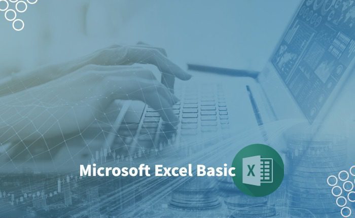 Microsoft Excel Basic